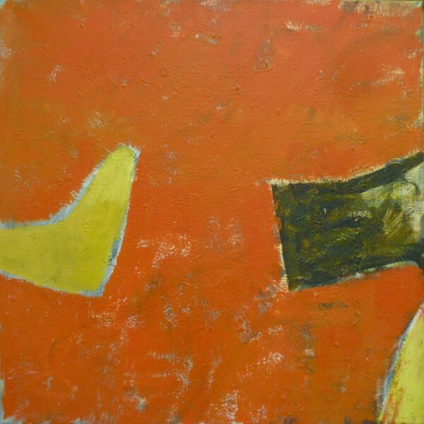 acryl op doek / 70 x 70 cm